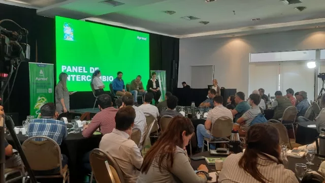 La solución al "yuyo colorado" y los que crecen entre la soja y el maíz: nuevo producto de Adama Argentina (para potenciar su programa Maleza Cero)