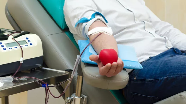 Se puede donar sangre durante todo el año.