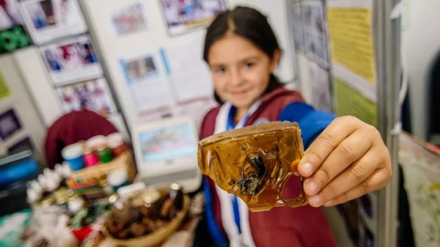 Participan comunidades educativas de todos los niveles y modalidades.