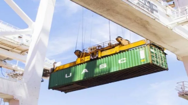 Excepciones a la importación