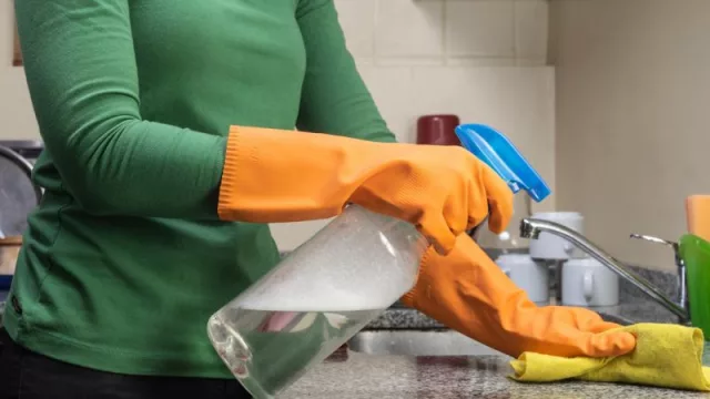 Subsidio por desempleo al personal de Casas Particulares