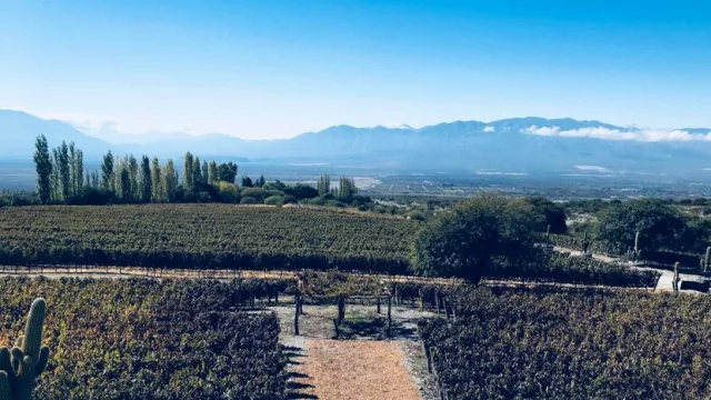 El #InTour comenzó por Salta (la redacción de InfoNegocios recorre el país)