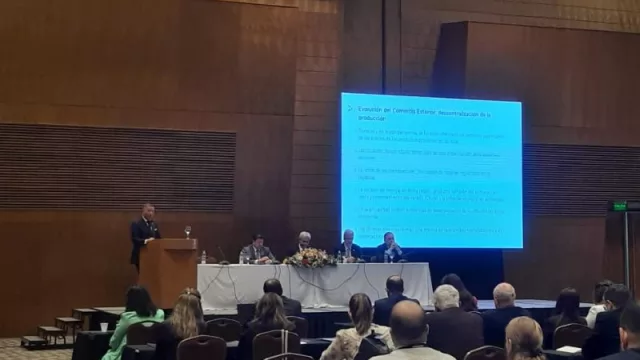 Paraguay en el centro: ven al país como hub logístico de exportación (hasta 12 empresas argentinas planean llegar al país)