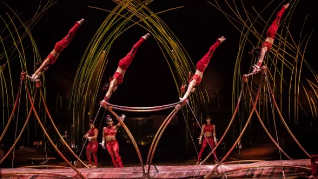 Resultados de encuesta