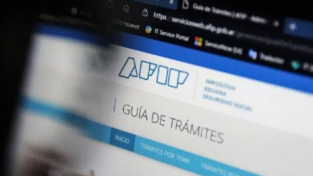 Suma fija: cómo declarar el bono de $ 60.000 en la AFIP para acceder a la devolución