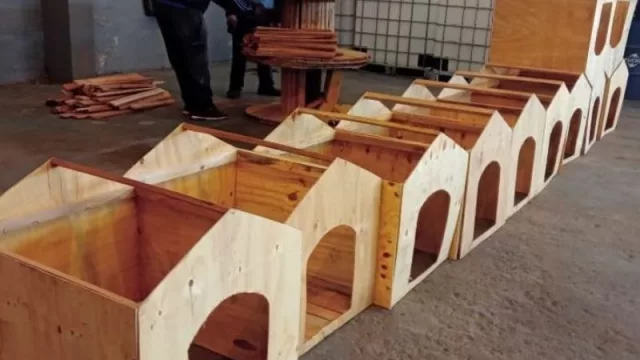 Economía Circular: construirán casitas para perros abandonados con material reciclado