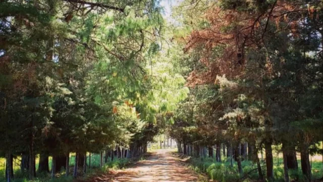 Conocé este espacio holístico en el Valle de Calamuchita (cuál es la propuesta de Los Manantiales)