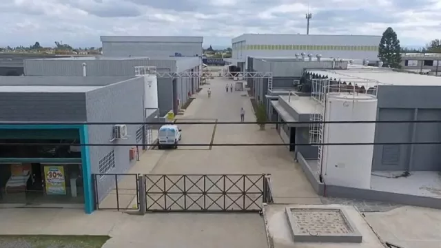 Cuáles son los caballitos de batalla con los que Paclín sale a pelear al mercado latinoamericano