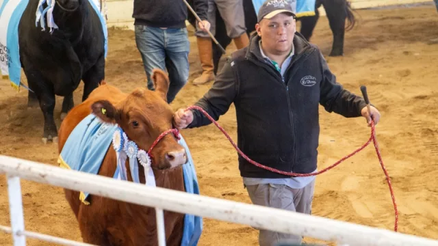 Es cierto: La Rural de Jesús María ofrece 90 días de gracia para la compra de animales y 20% de descuento por pago de contado (se esperan precios récord)