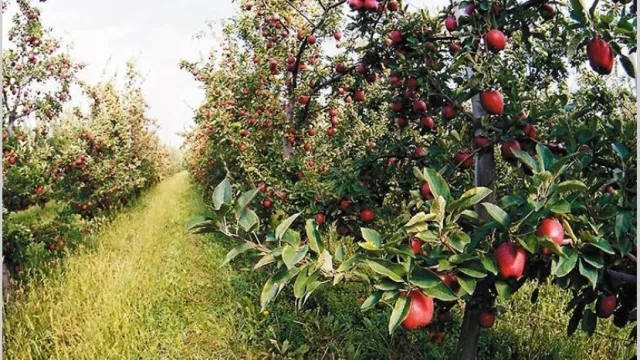 Megafusión en los EE.UU. deja telecomunicaciones en manos de tres actores
