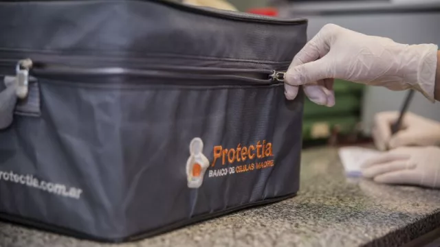 Protectia (el banco de células madre cordobesa) mostrará su investigación (de 4 años de trabajo) en el congreso mundial de células madre