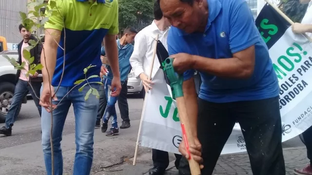 La Fundación Consultores de Empresas sale a plantar 700 árboles (inversión ambiental de $ 350.000)