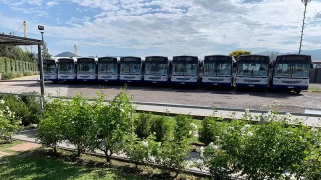Millonaria inversión para renovación de flotas de colectivos en Salta