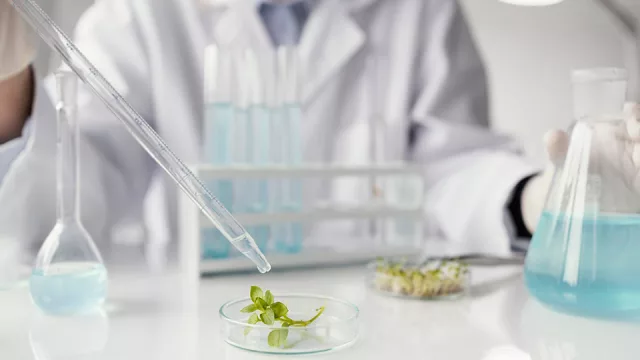 Córdoba cuenta con unas 70 empresas y emprendimientos biotecnológicos.