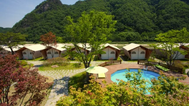 Empresarios franceses analizan futuras inversiones, atraídos por el Iberá