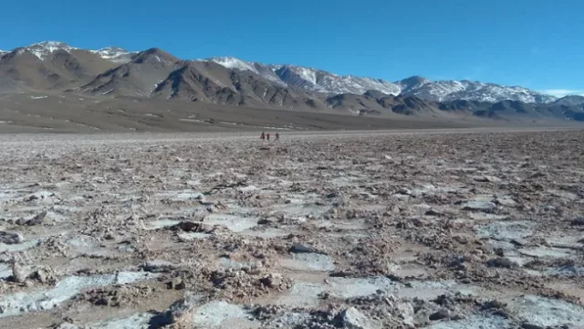 Stellantis anuncia inversión en el litio argentino (con el objetivo de asegurarse un suministro constante del metal)