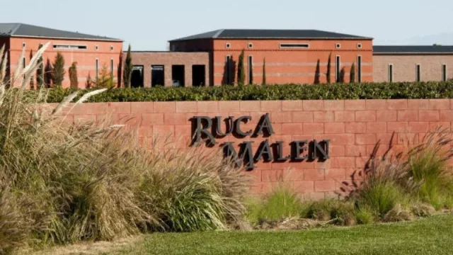 Cuáles son las 4 bodegas de Molinos (que están entre las mejores del mundo) con etiquetas que llegan a los $ 60.000