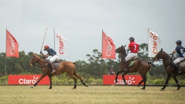 Al galope el Polo hace Punta