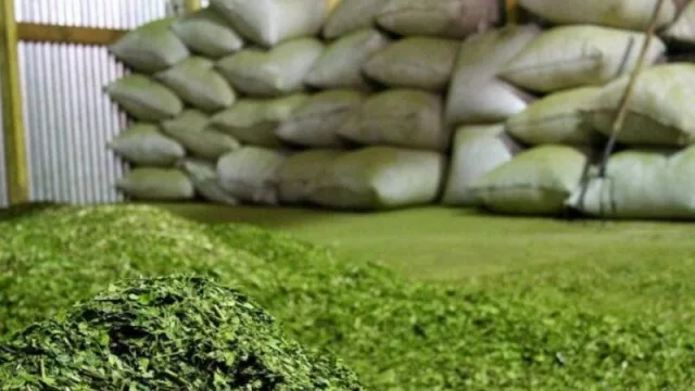 La caída de exportaciones de yerba mate perjudicará a toda la cadena