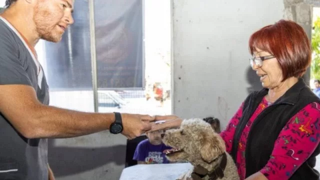 Más de 600 animales se sumaron a la campaña de vacunación contra la rabia