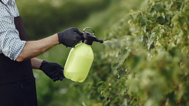 Se desarrollará en el Pabellón Argentina de Ciudad Universitaria.