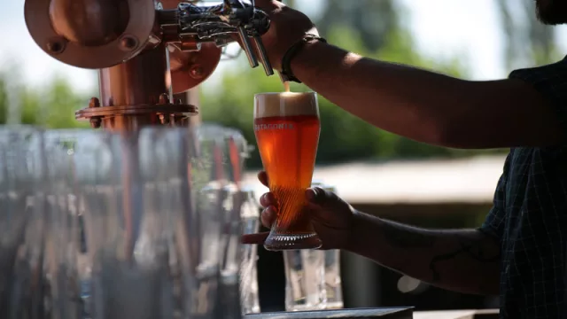 Patagonia invitó a uruguayos a la cosecha de lúpulo