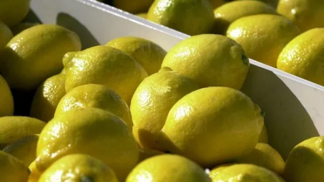 Técnicos de EEUU llegan para un control de calidad a los limones de exportación