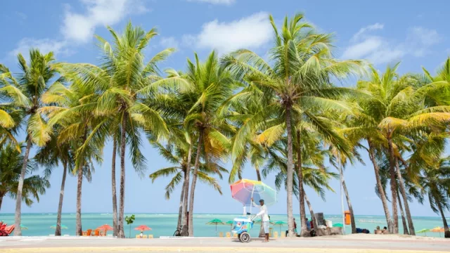 De Córdoba directo a Maceió (en 5 horas) con Jazz y Git (desde US$ 770 + impuestos)