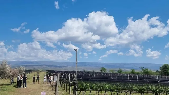 Acciones de comunicación generan un retorno en cobertura mucho más amplio y valioso.