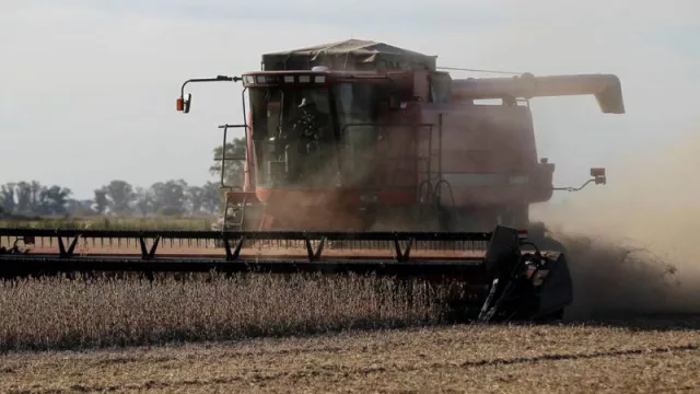 La AFIP detectó faltantes de granos en una aceitera de Córdoba por $174 millones