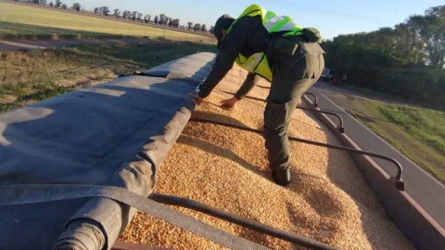 Secuestraron más de 170 toneladas de granos de maíz y soja en Mendoza y Córdoba
