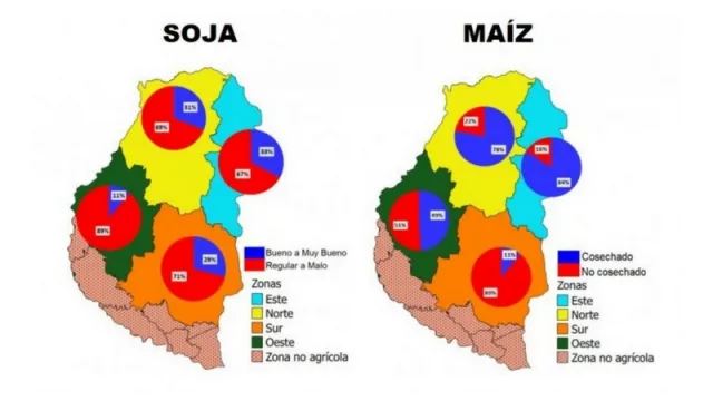 Campo: ascienden a $10.000 millones las pérdidas en Entre Ríos