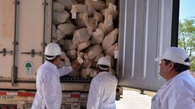 El sector caprino de Chaco cerró un gran 2021 (exportaciones, mejoras genéticas e inversión)