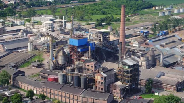 Con foco en la sustentabilidad: Ledesma (el grupo agroindustriales del país) fabricará vajilla biodegradable