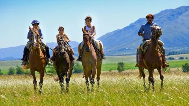 Récord histórico de viajeros hospedados durante 2017 (20 millones de personas; 48 millones de plazas)