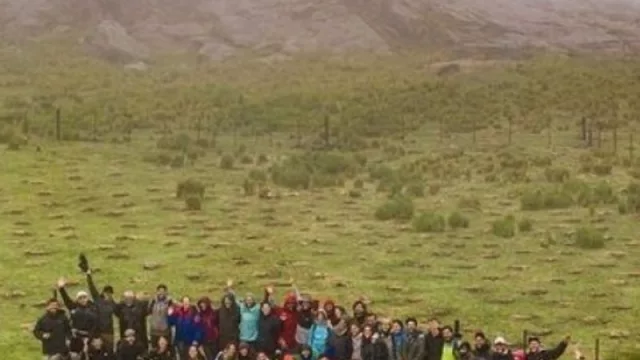 PlantArg quiere plantar 1 millón de árboles nativos en Argentina (ya pusieron más de 2.000 en el cerro Champaquí)