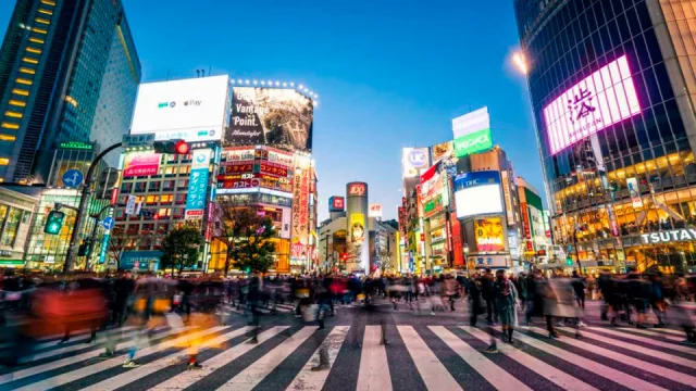 Se ofrecen dos programas distintos de formación.