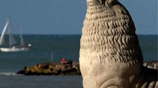 Por qué visitar Mar del Plata este verano (“la contra temporada de Ibiza”)