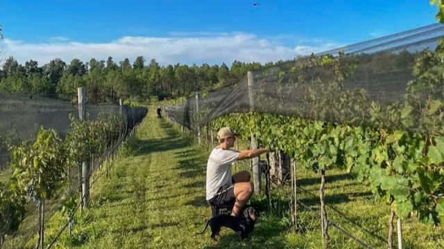 Fin de semana largo (atípico) y expectativas para la temporada