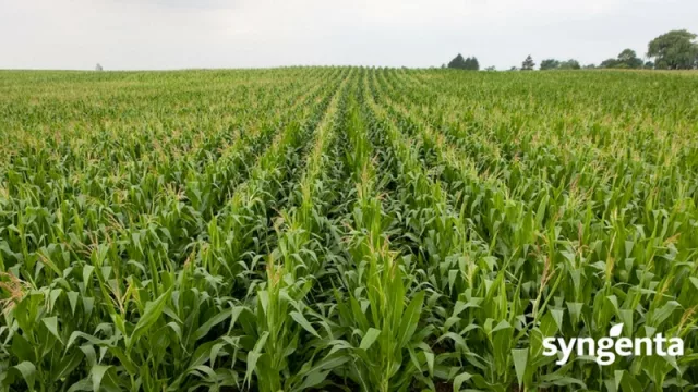 Syngenta completa la adquisición de importante firma agroindustrial
