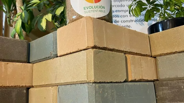 Cómo son los ladrillos encastrables autosustentables (y de colores) para construir tu casa: el m2 cuesta $ 14.500