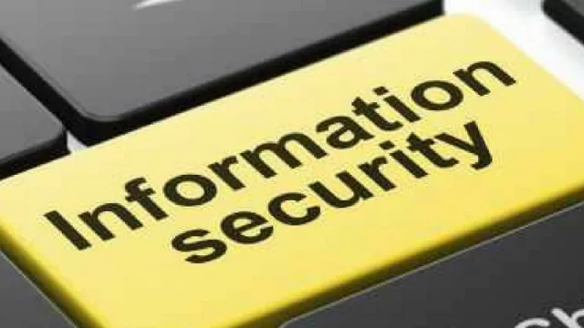 Fraude interno y empleados desleales: qué es y cómo prevenirlo (según Mkit)