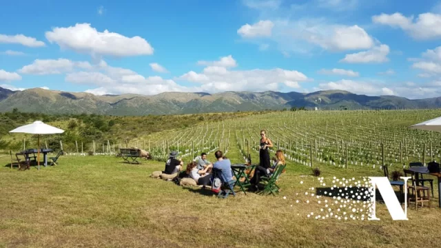 El viñedo se puede visitar sin reserva, de lunes a viernes de 16 a 22 y los fines de semana de 11 a 22 hs