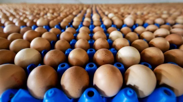 Se aprobaron nuevas inversiones privadas por más de USD 20 millones