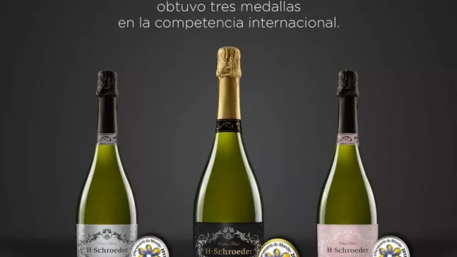 Un argentino entre los 10 mejores espumantes del mundo (calidad neuquina)