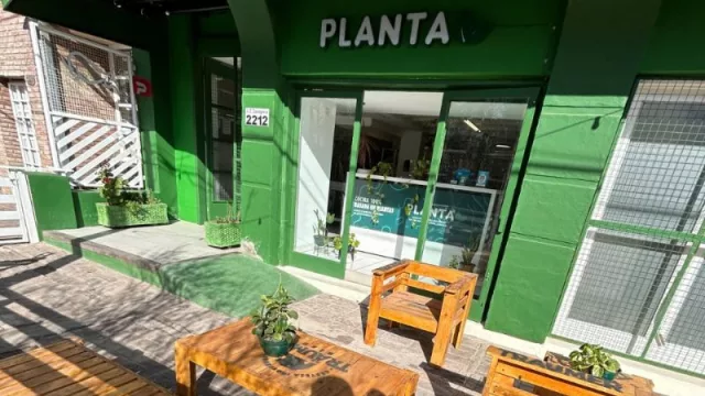 Sobre: Así es “Planta”, el primer restaurante vegetariano y vegano de Córdoba (pero no el último): está en el corazón del Cerro de las Rosas