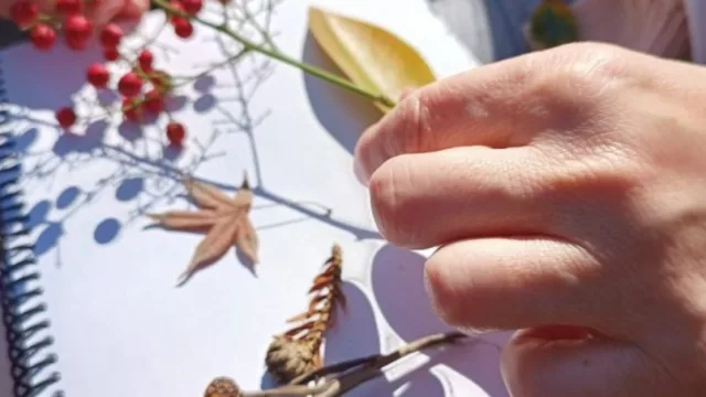 Este sábado el Jardín Botánico invita a participar de un nuevo taller de dibujo