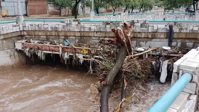 En fotos: así fue el paso del temporal por la ciudad de Córdoba (incluye "mirá cómo está la Cañada, papá")