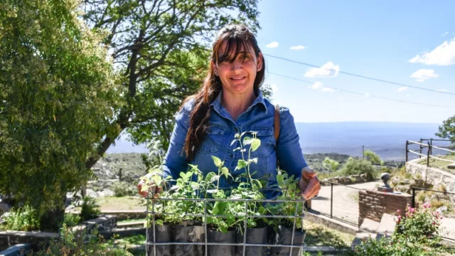 Peperina, el proyecto de una cooperativa para reintroducir la aromática y evitar su extracción silvestre