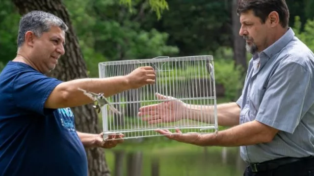 En el Día Mundial de las Aves, la Municipalidad de Córdoba liberó 61 especies en la localidad de José de la Quintana